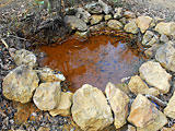 Crveno vrelo je izvor visoko mineralne vode