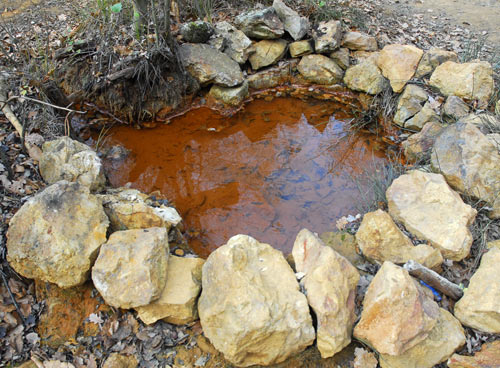 Crveno vrelo je izvor visoko mineralne vode