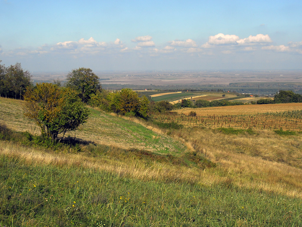 Pogled sa Fruske gore