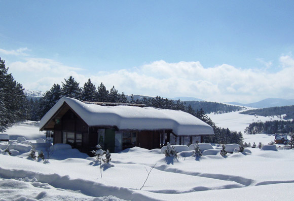 Zlatibor fotografije