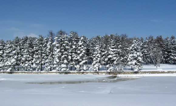 Zlatibor fotografije