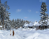 Zlatibor  snow