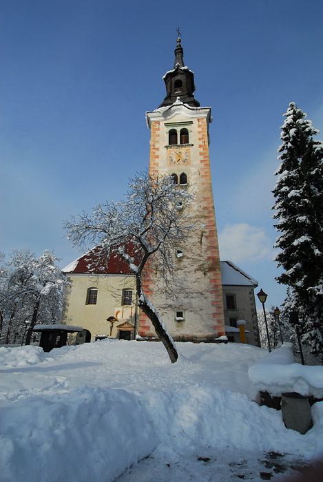 Bled Crkva Forum