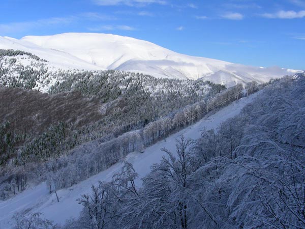 07_stara_planina_skijanje.jpg