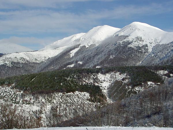 20_stara_planina_skijanje.jpg